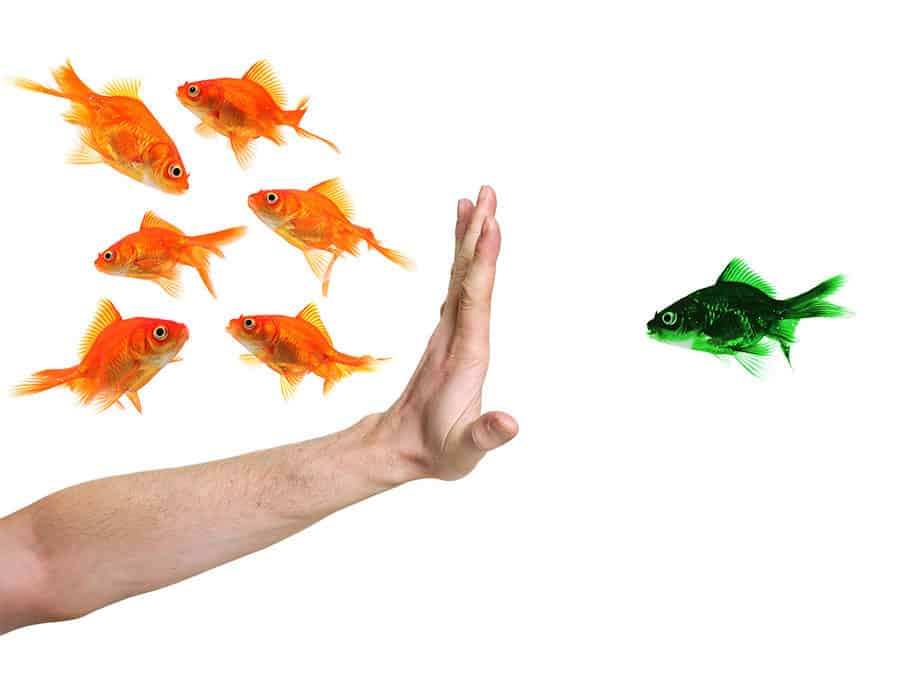 “Unconscious Bias” in the Hiring Process