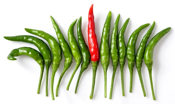 For CEOs and CFO Candidates: The Importance of an Exacting “Spec” in Executive Search